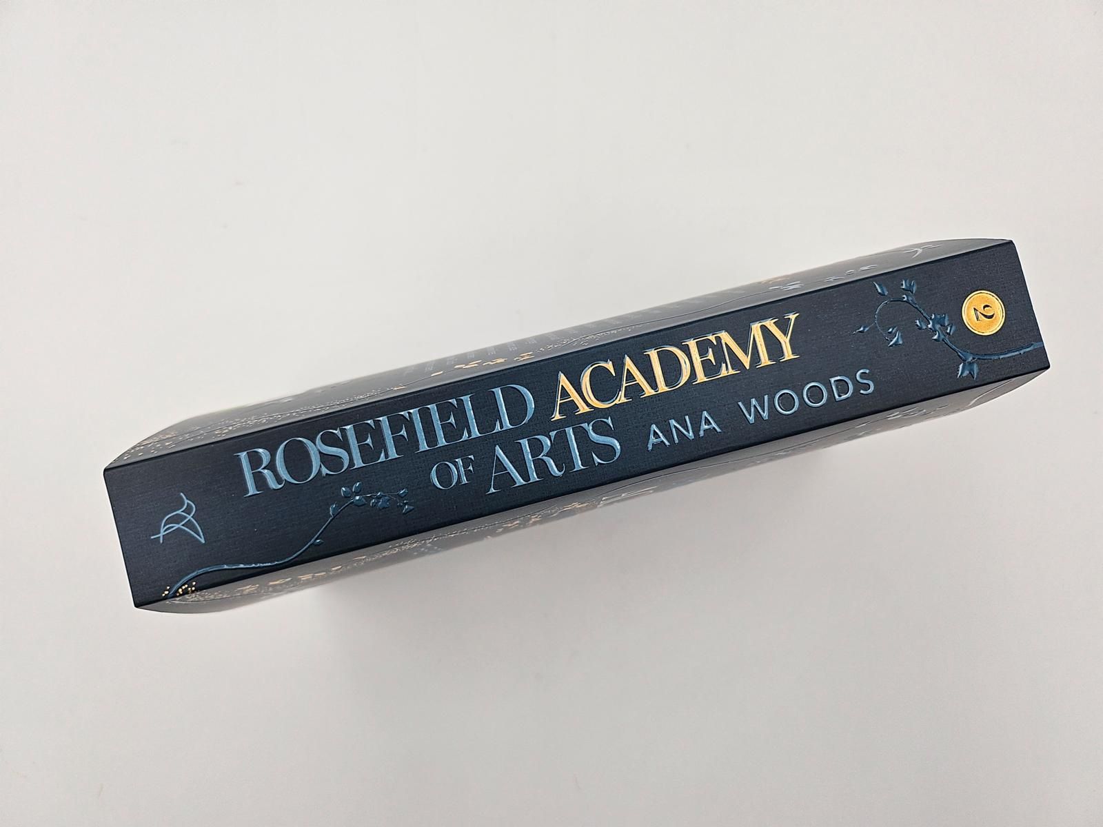 Rosefield Academy of Arts – The Promises We Make