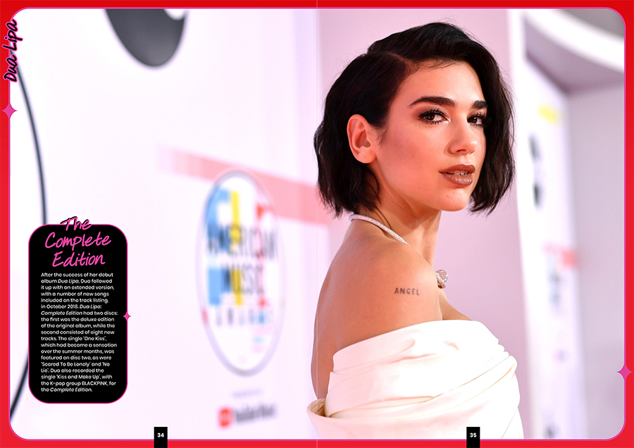 Dua Lipa: Das ultimative Fanbuch