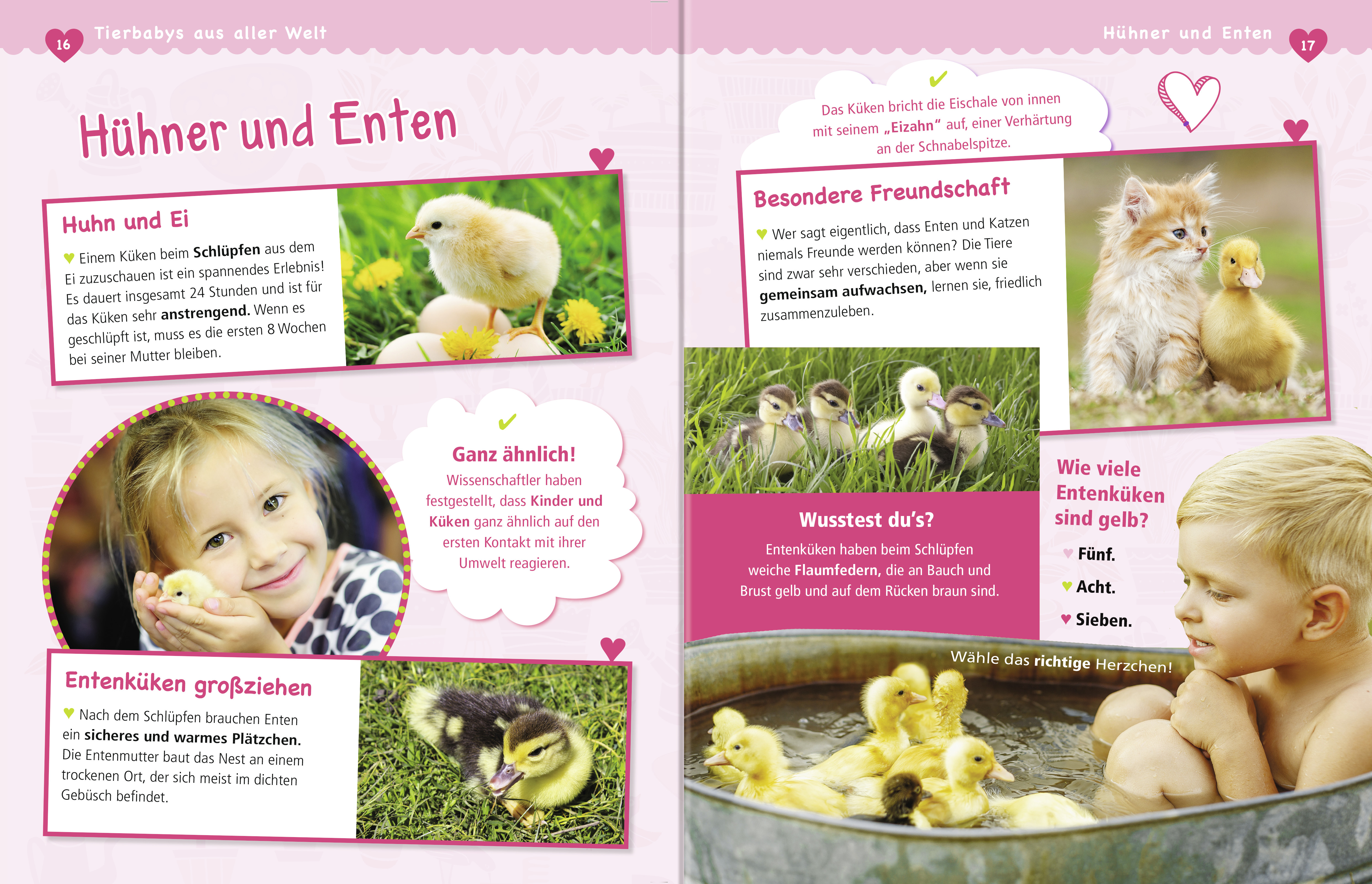 Süße Tierbabys zum Liebhaben Süße Tierbabys zum Liebhaben