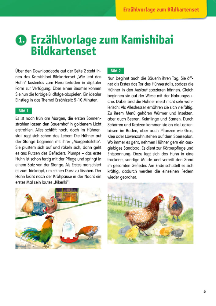 Arbeitsmaterial Grundschule. Sachunterricht: Wie lebt das Huhn?