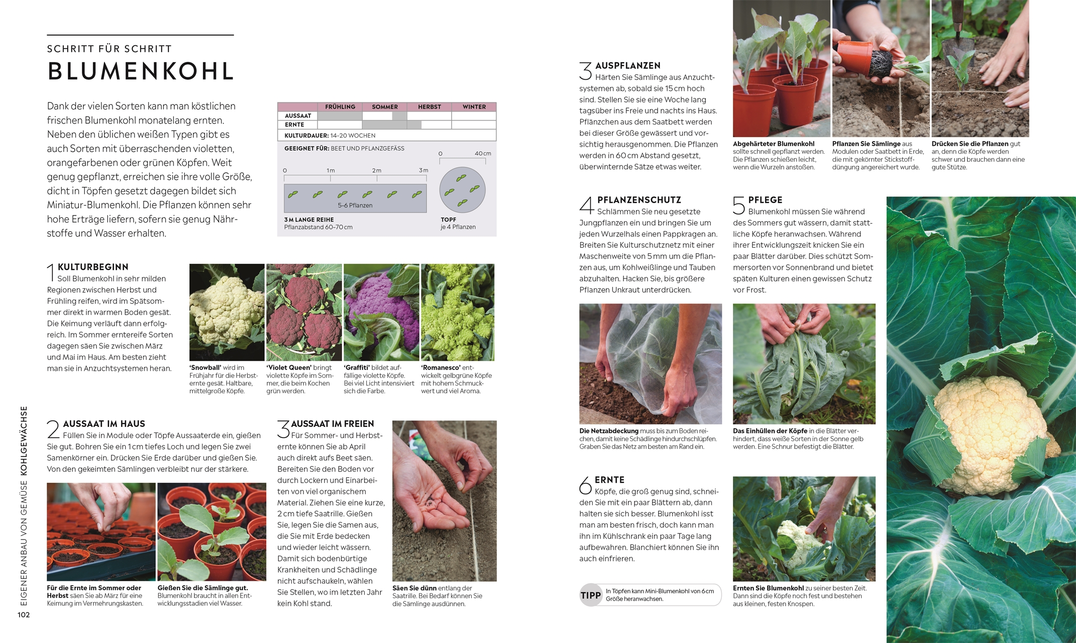 Kleiner Garten - große Ernte Kleiner Garten - große Ernte