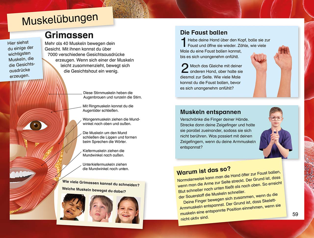 SUPERLESER! Rasante Fahrt durch den Körper
