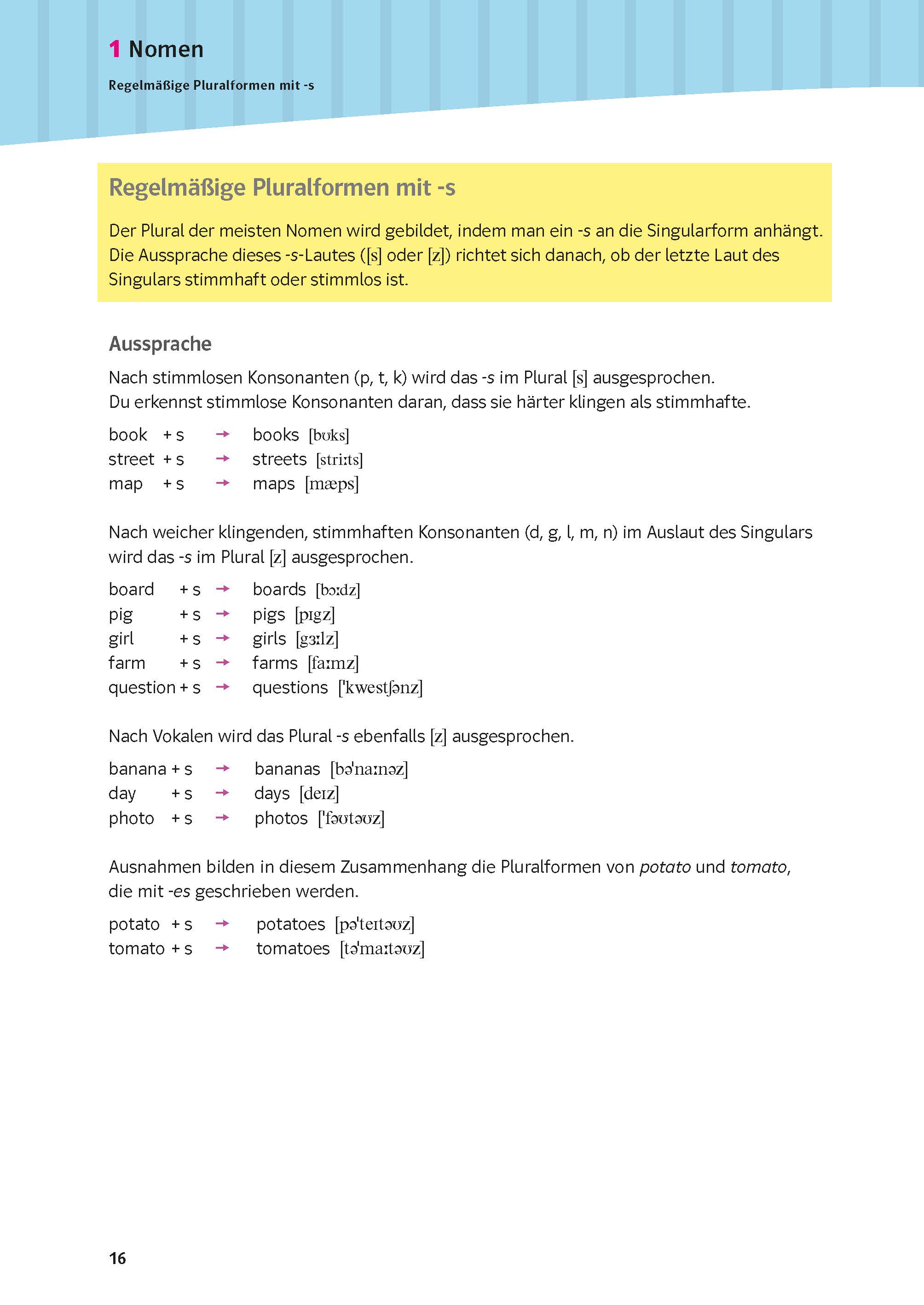 PONS Schulwissen XXL Englisch 5.-10. Klasse