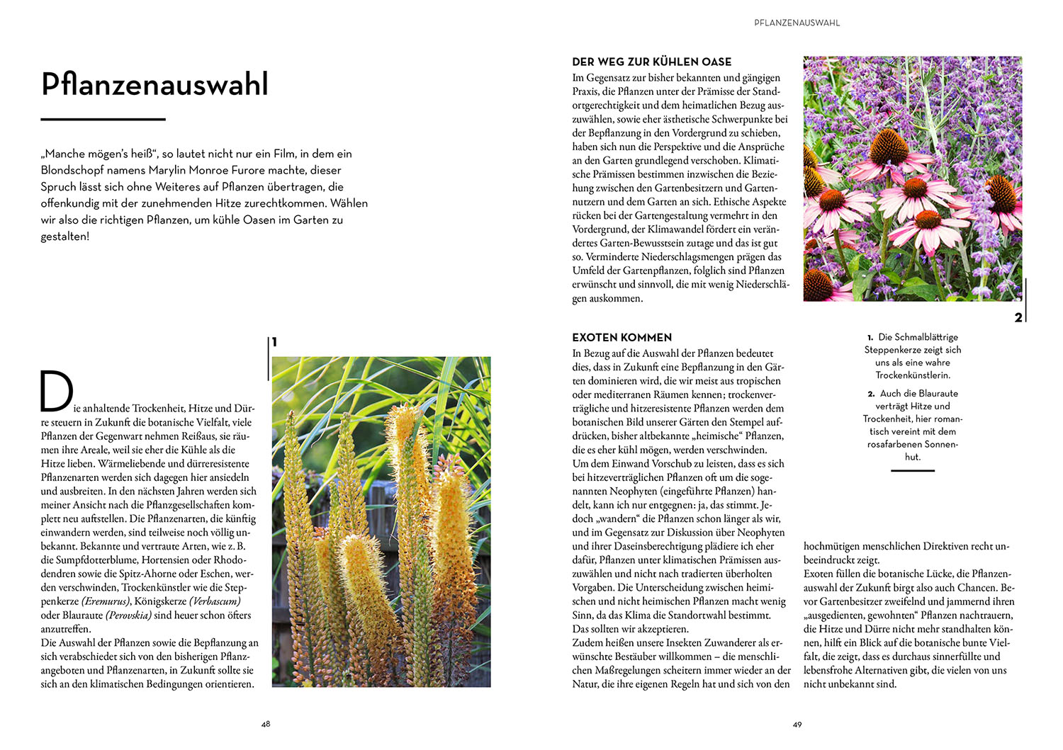 Oase - kühler Garten