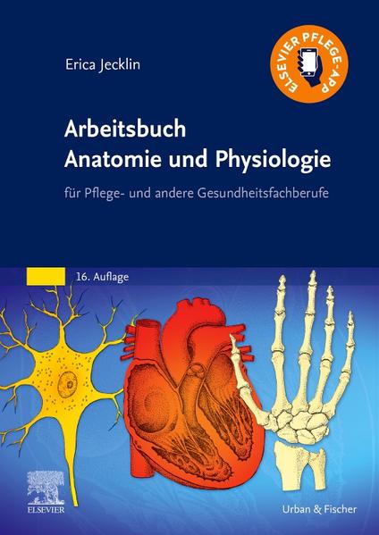 Arbeitsbuch Anatomie und Physiologie eBook Arbeitsbuch Anatomie und Physiologie eBook