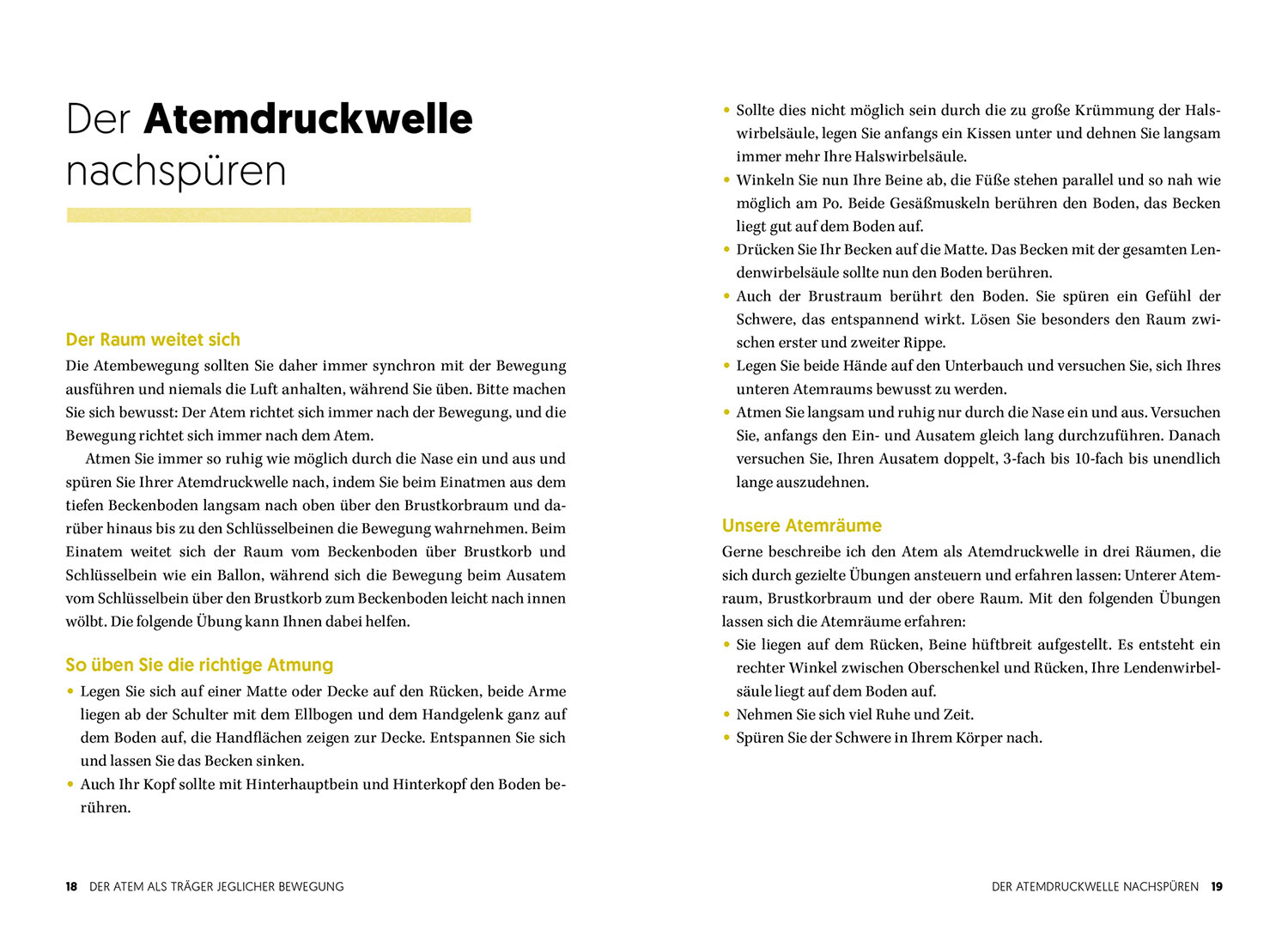 Das Rücken-Heilbuch