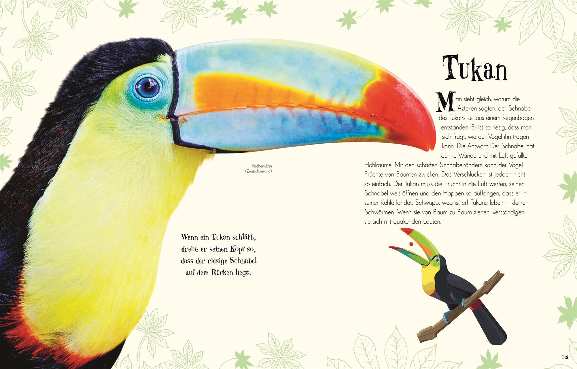 Wundervolle Welt der Tiere Wundervolle Welt der Tiere