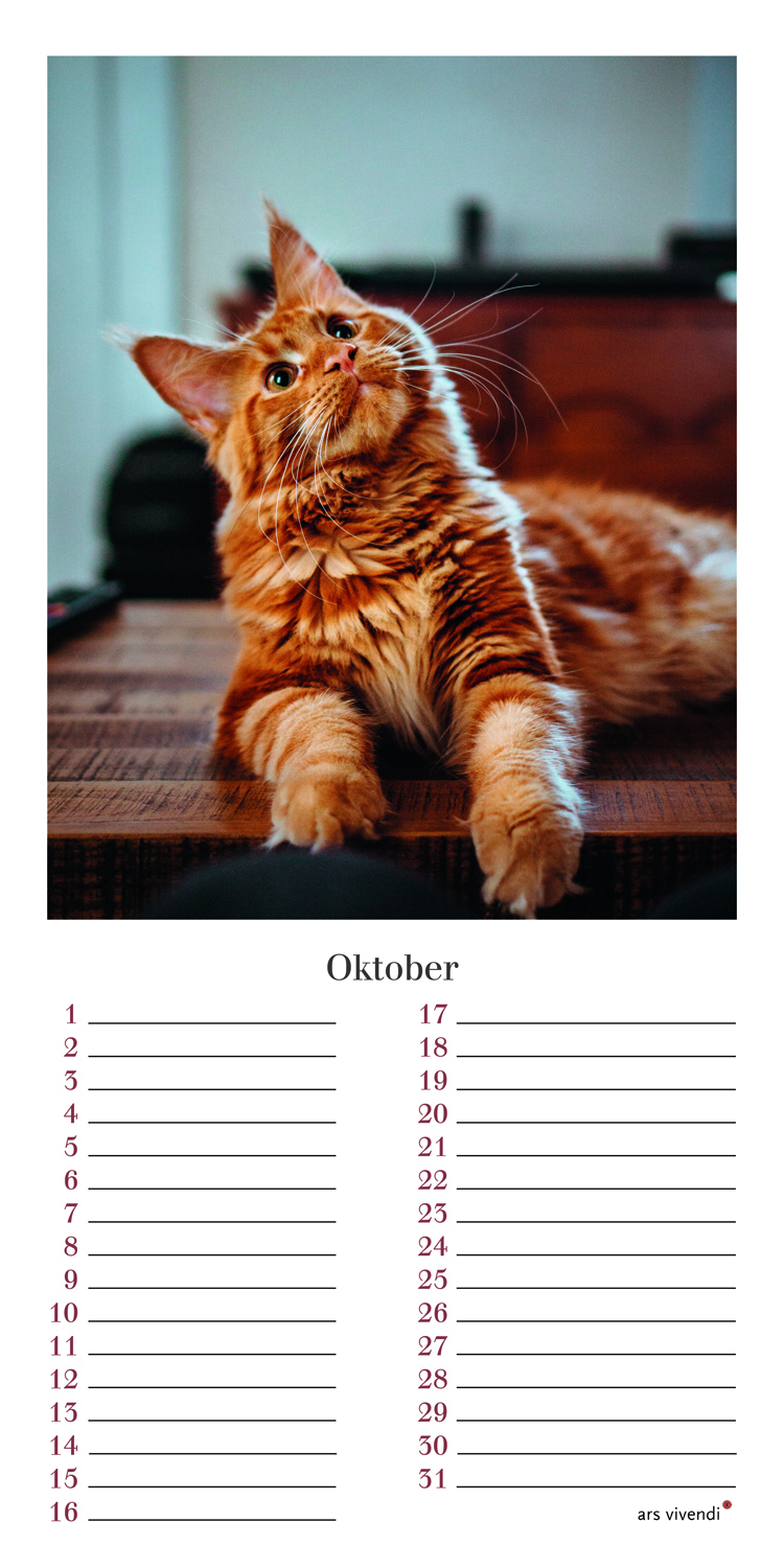 Geburtstagskalender Katzen