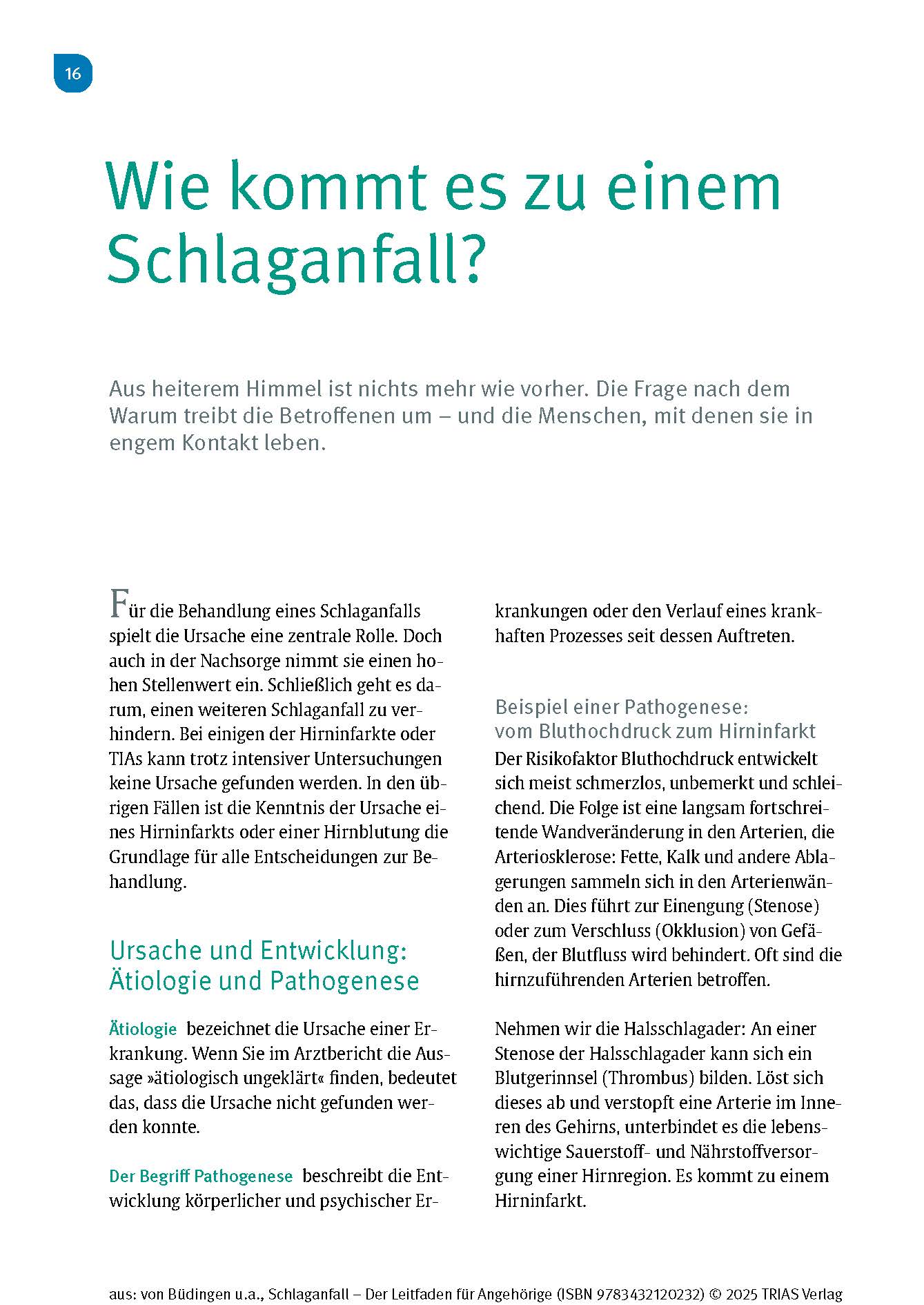 Schlaganfall - Der Leitfaden für Angehörige