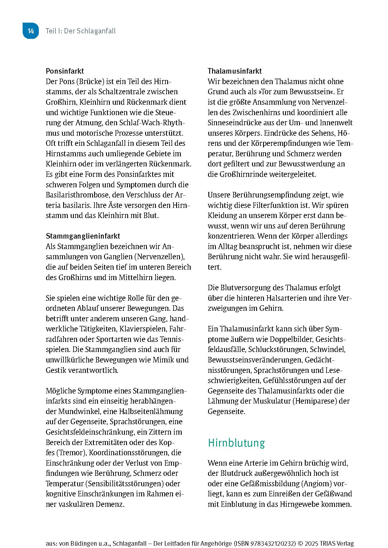 Schlaganfall - Der Leitfaden für Angehörige