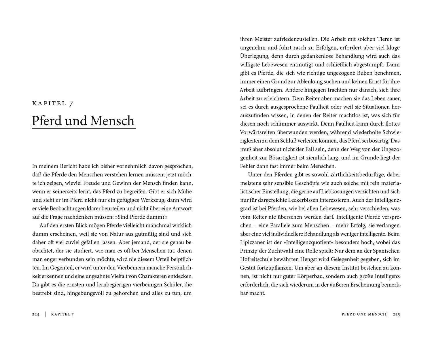 Meine Lehrmeister die Pferde Meine Lehrmeister die Pferde