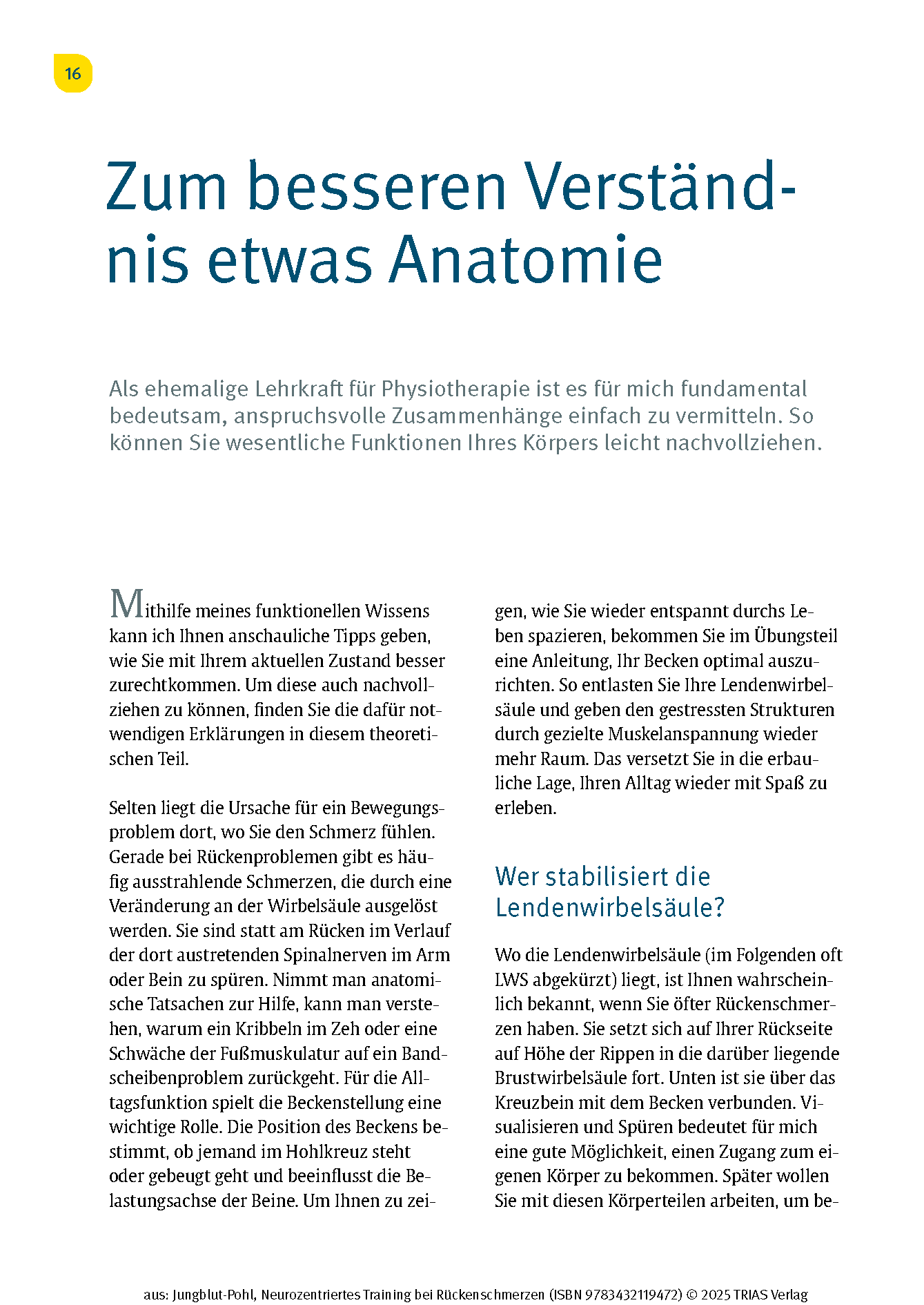 Neurozentriertes Training bei Rückenschmerzen