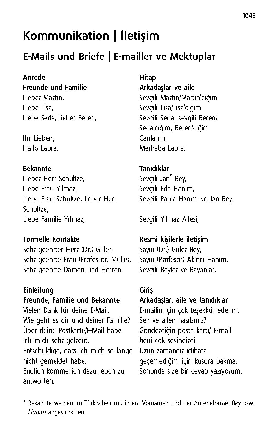 Langenscheidt Taschenwörterbuch Türkisch