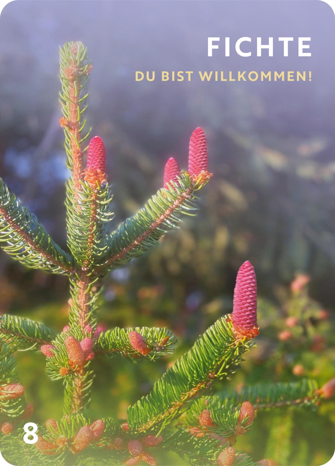 Düfte für die Seele Düfte für die Seele