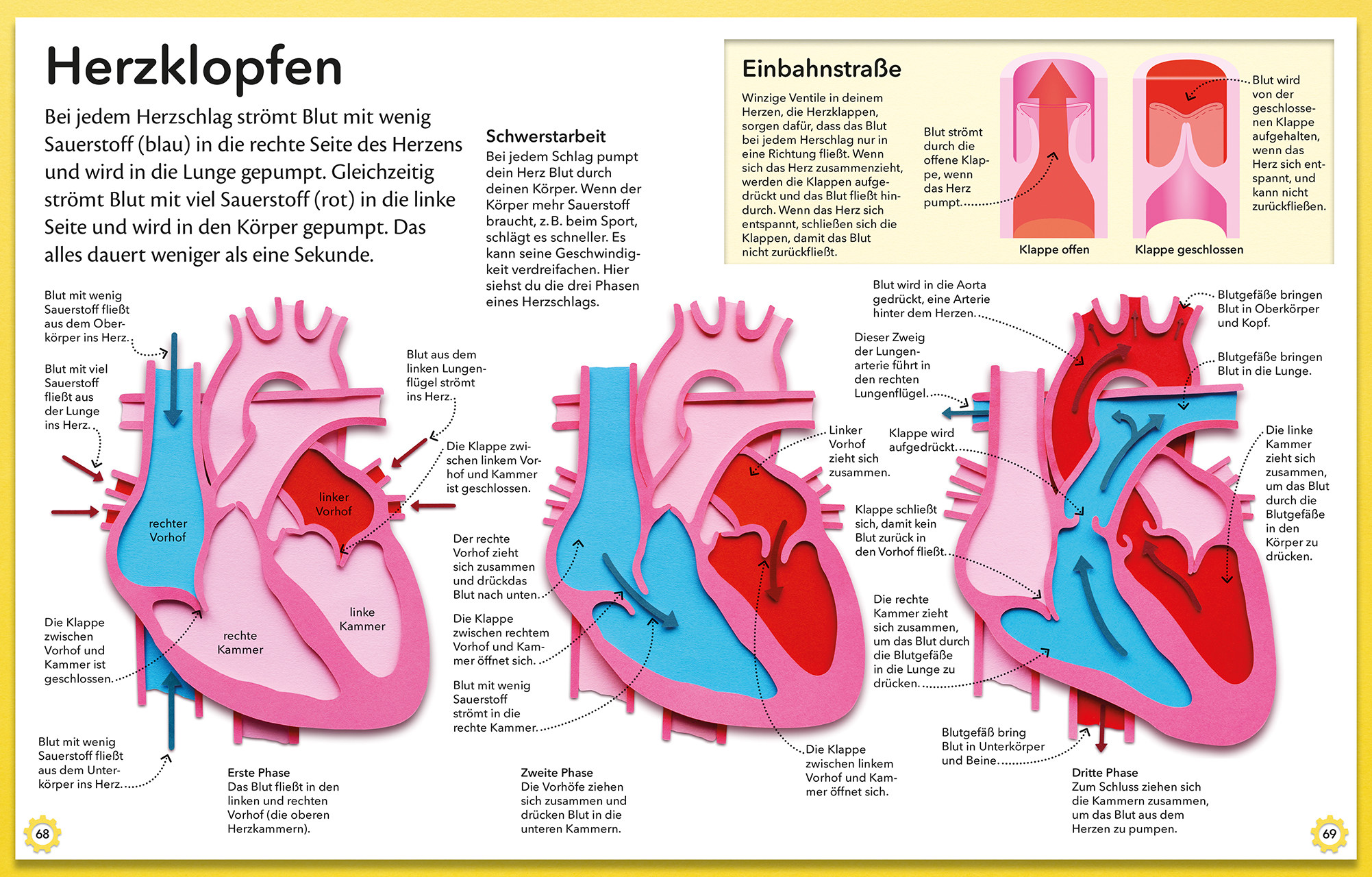 Mein genialer Körper