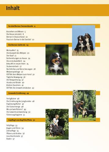 Berner Sennenhund Berner Sennenhund
