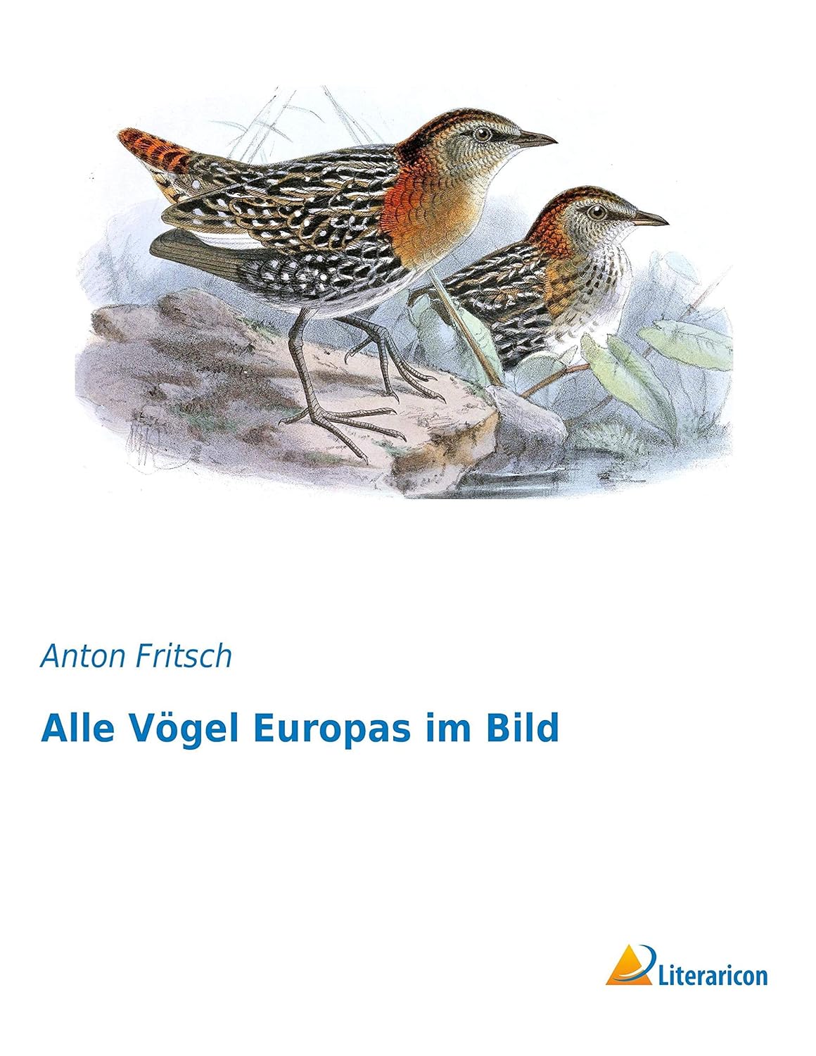 Alle Vögel Europas im Bild