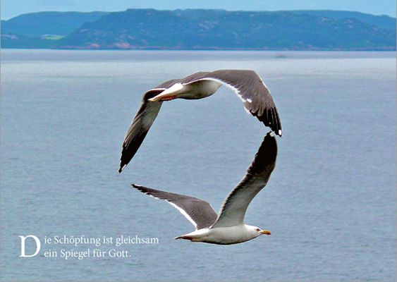 Im Herzen bleibt ein Klang - Postkartenset