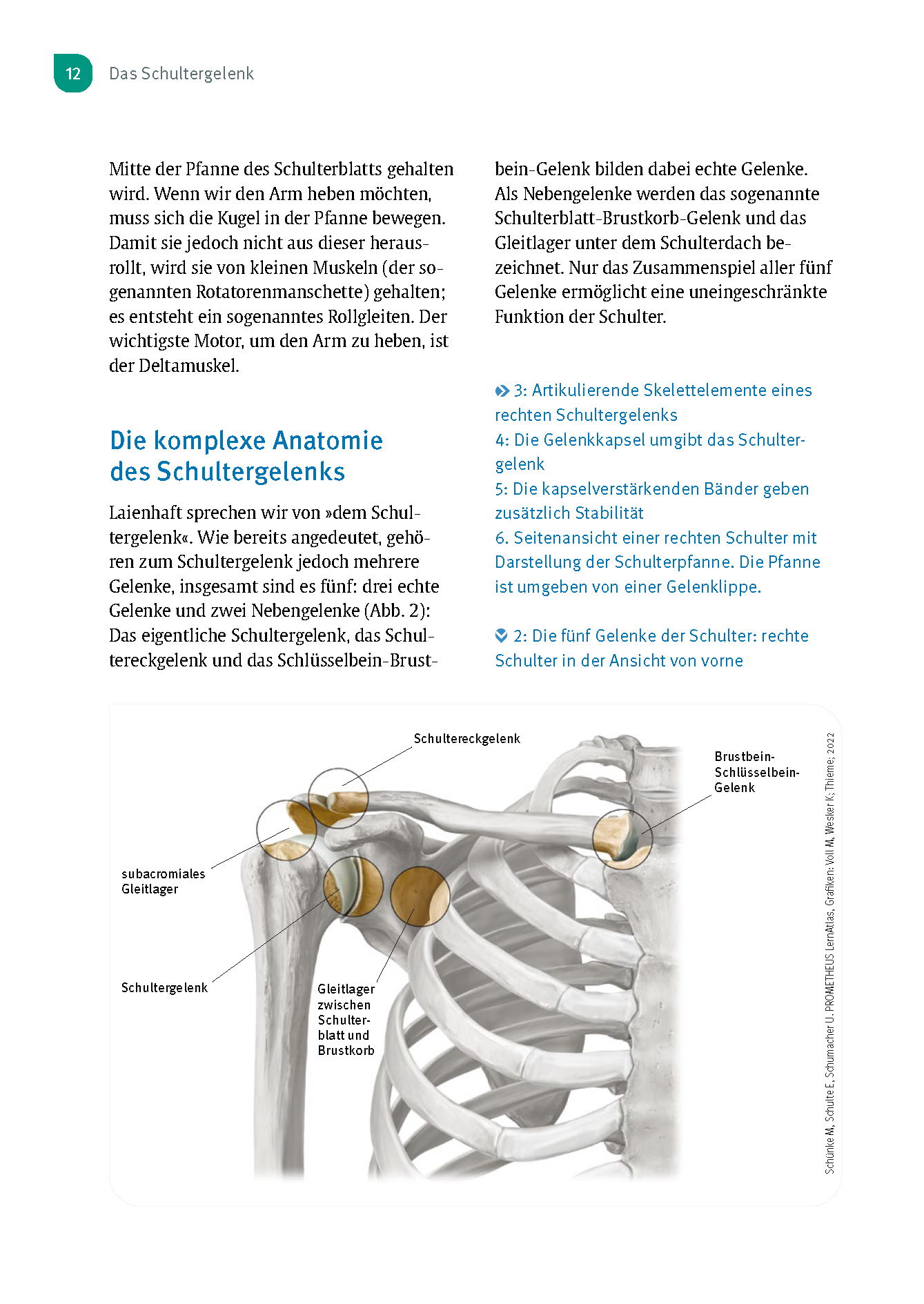 Experten-Sprechstunde Schulter