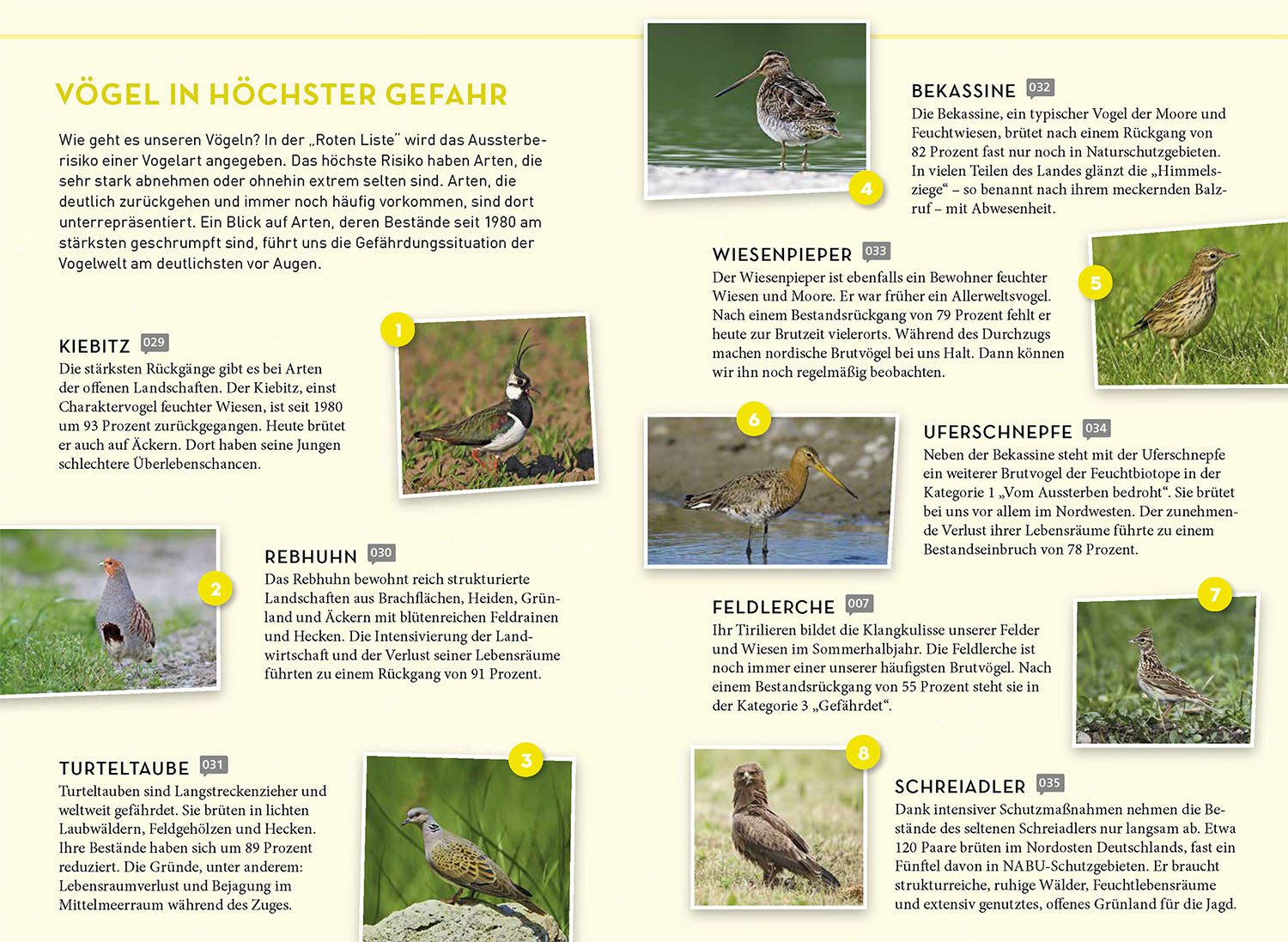 Lieblingsvögel Lieblingsvögel