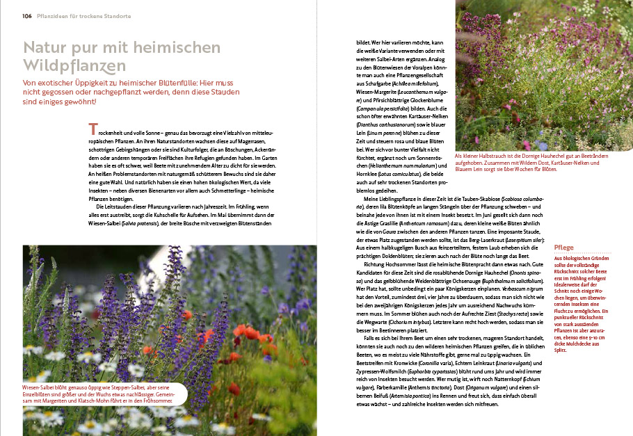 Echte Hitzeprofis Echte Hitzeprofis