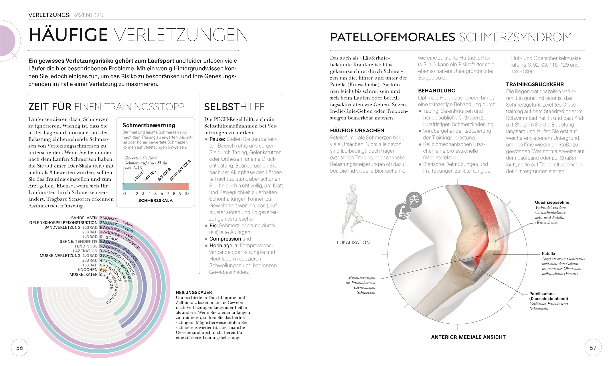 Lauftraining – Die Anatomie verstehen