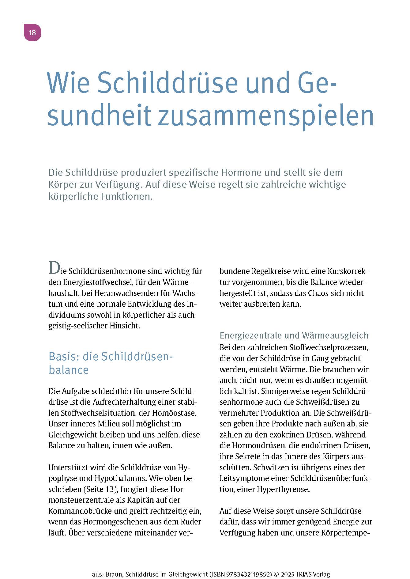 Schilddrüse im Gleichgewicht