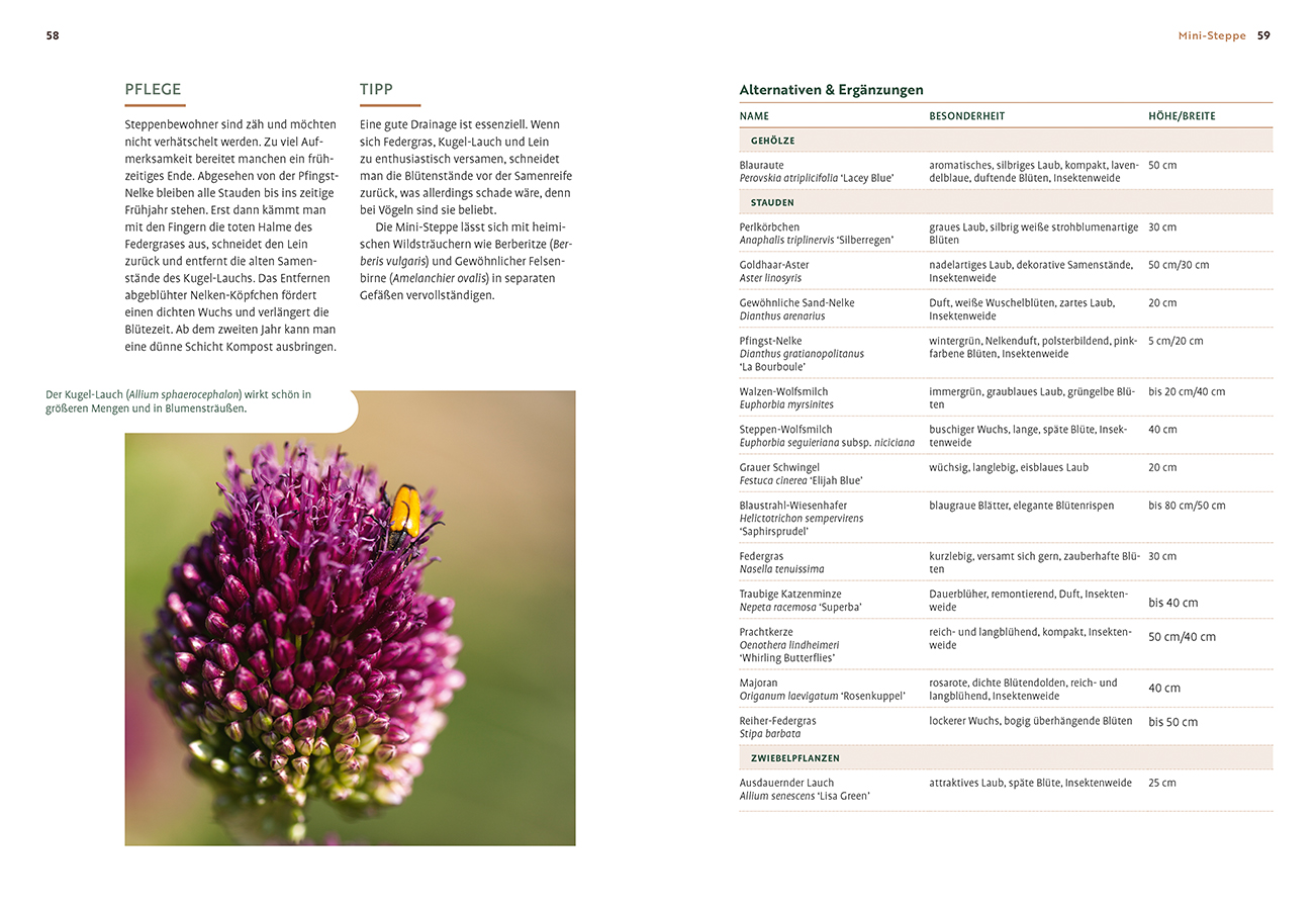 Mein Garten wächst im Topf