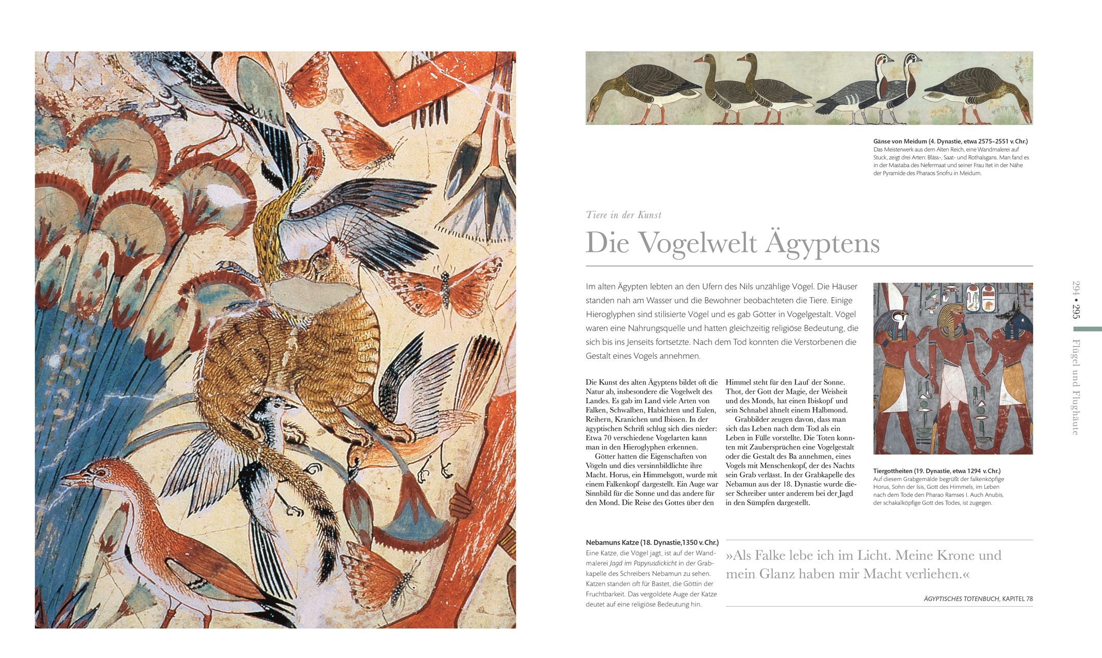 Fauna – Wunderwelt der Tiere