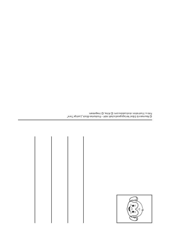 Postkartenblock Lustige Tiere