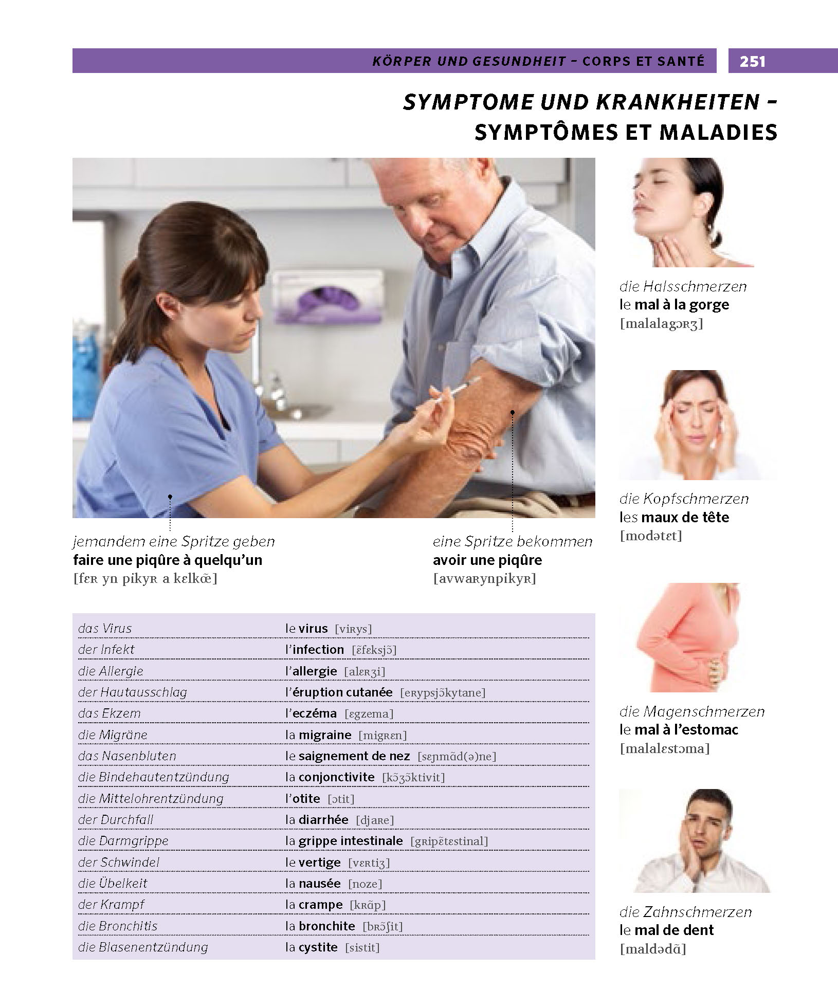 PONS Bildwörterbuch Französisch