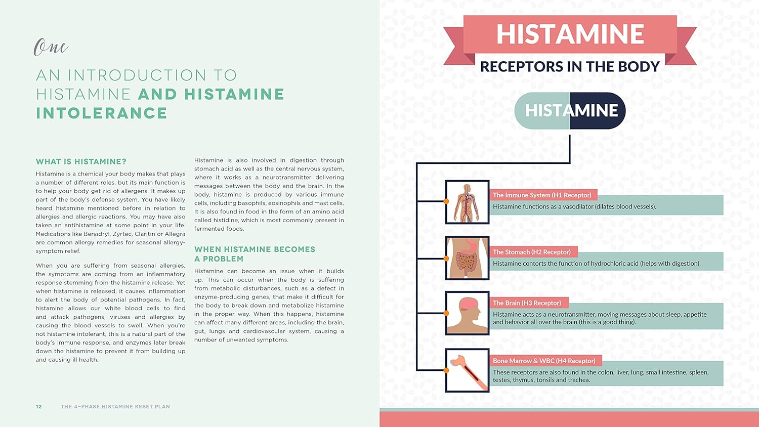 The 4-Phase Histamine Reset Plan: Getting to the Root of Migraines, Eczema, Vertigo, Allergies and More