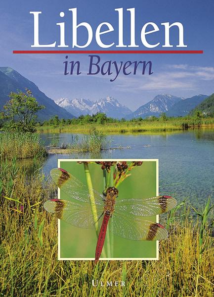Libellen in Bayern