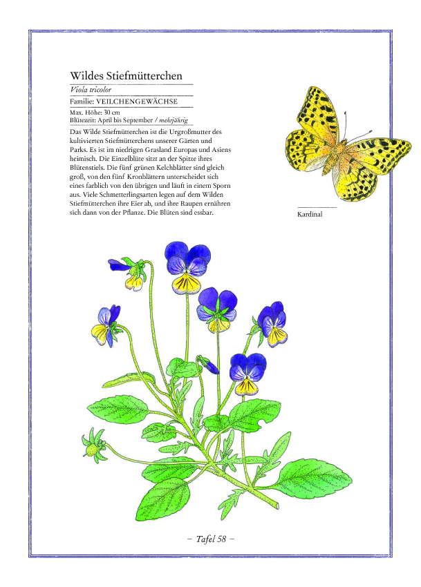 Lavendel, Lilie, Löwenzahn Lavendel, Lilie, Löwenzahn