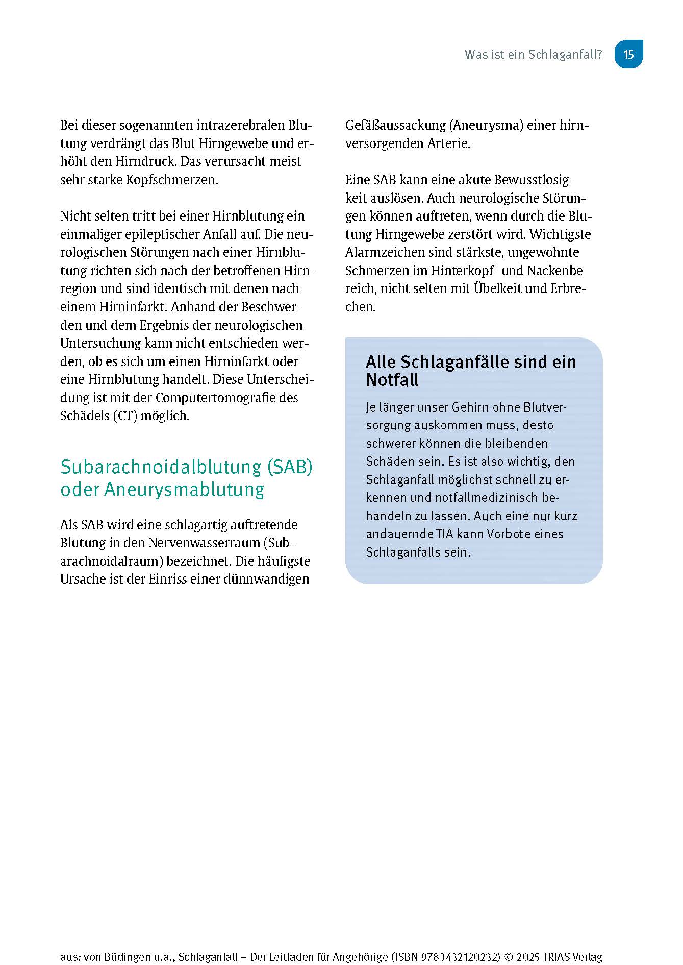 Schlaganfall - Der Leitfaden für Angehörige