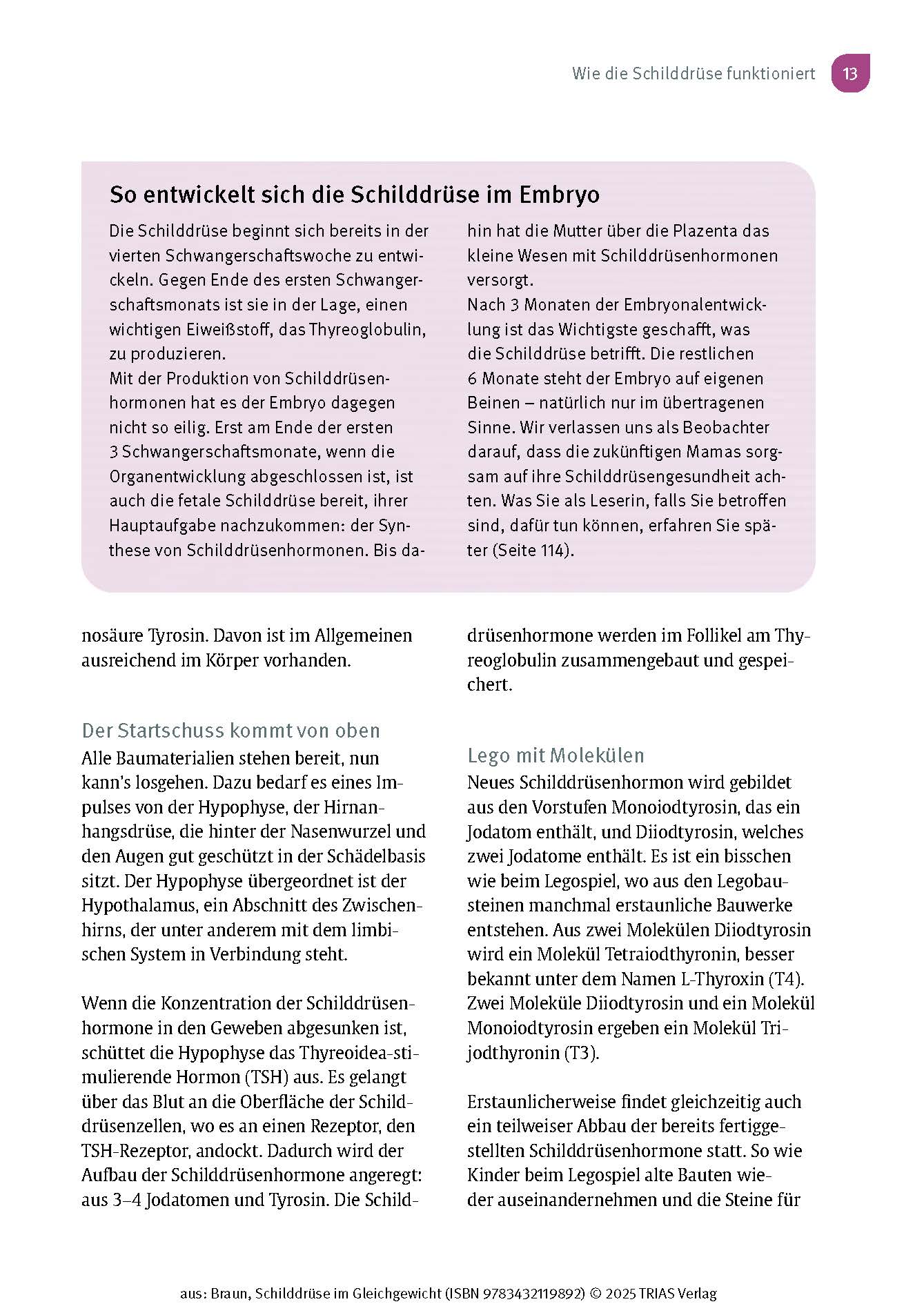 Schilddrüse im Gleichgewicht