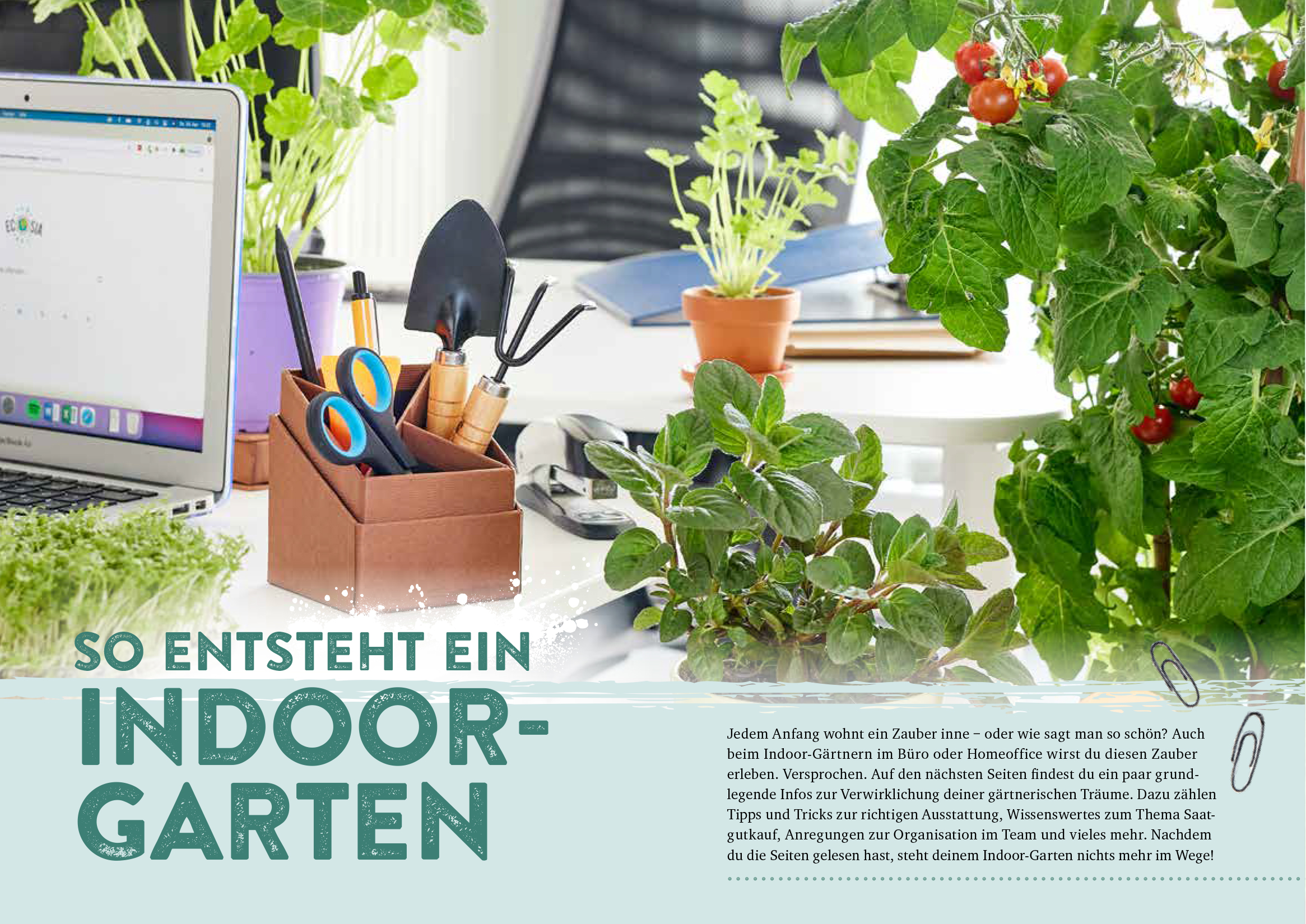 Endlich Mittagspause! Indoor-Gärtnern zwischen Mails und Meetings mit Pflücksalat, Sprossen & Co. Endlich Mittagspause! Indoor-Gärtnern zwischen Mails und Meetings mit Pflücksalat, Sprossen & Co.