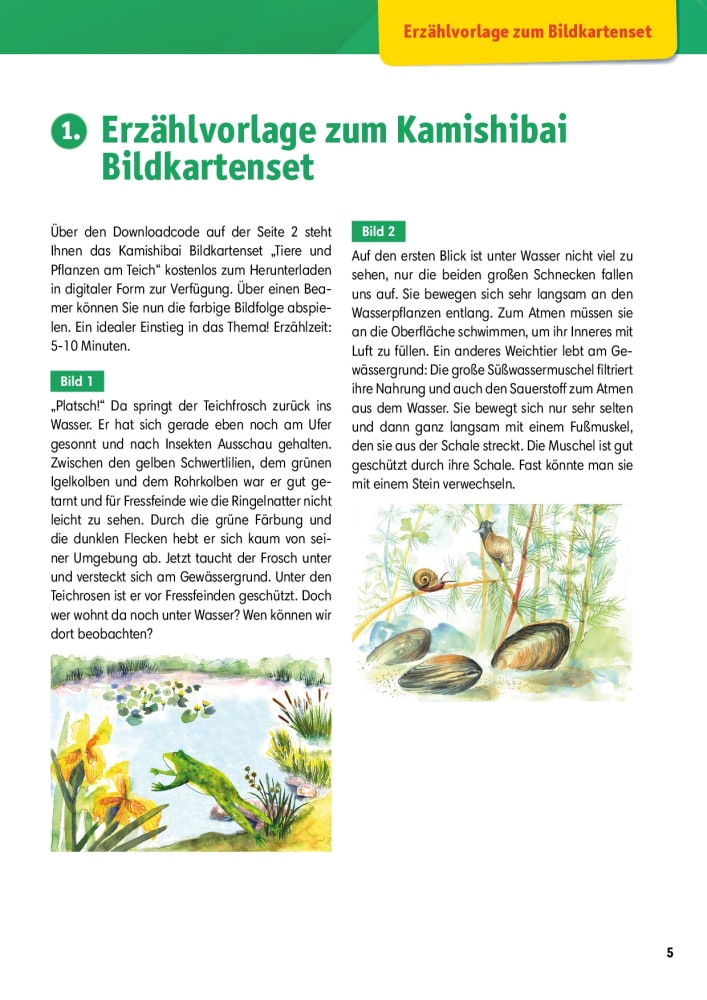 Arbeitsmaterial Grundschule. Sachunterricht: Tiere und Pflanzen am Teich.
