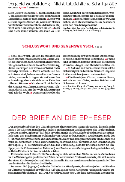 Die Bibel. Mit Sonderseiten für junge Menschen. Die Bibel. Mit Sonderseiten für junge Menschen.