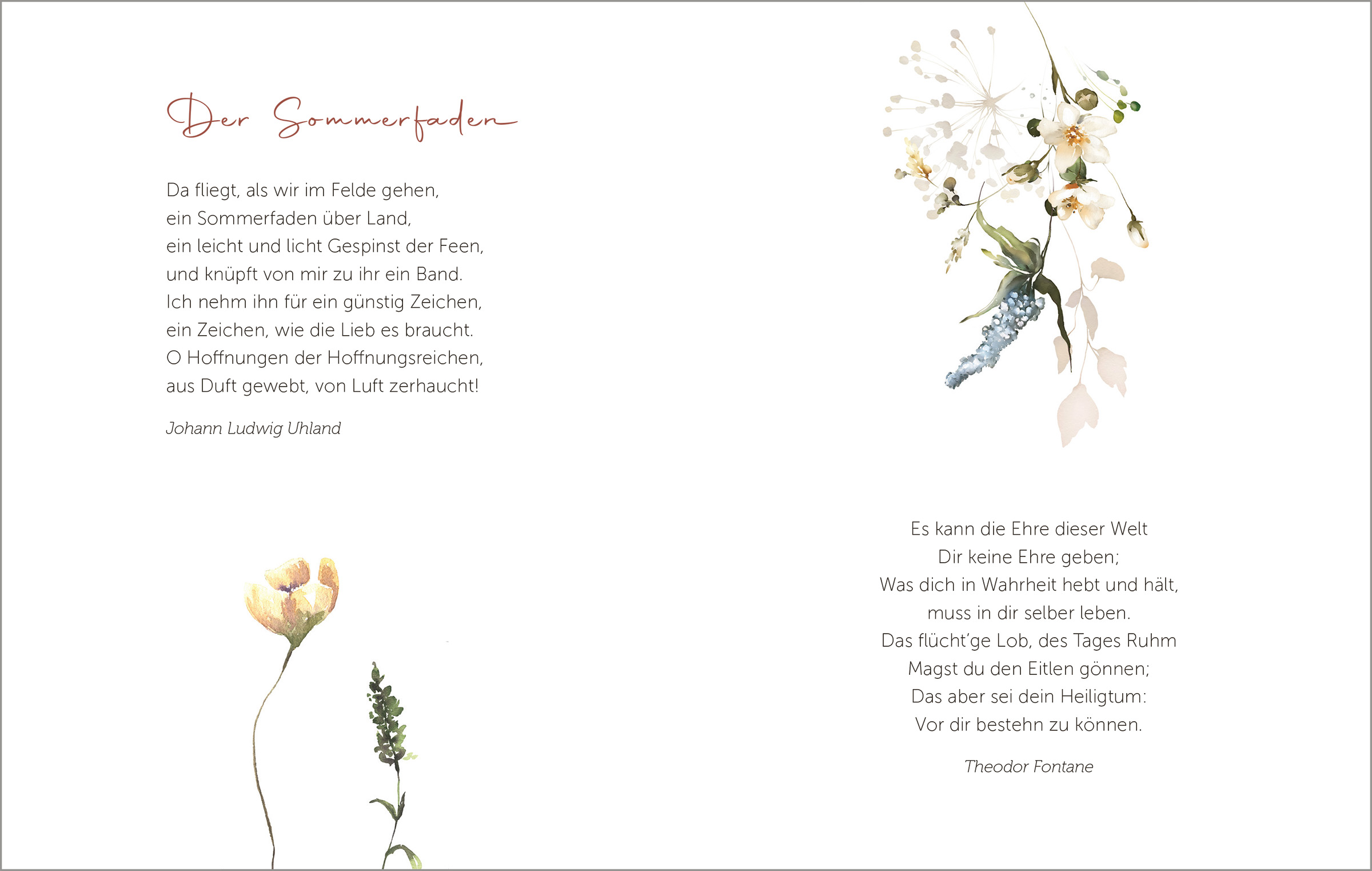 Die schönsten Blumen blühen für die, die sie sehen