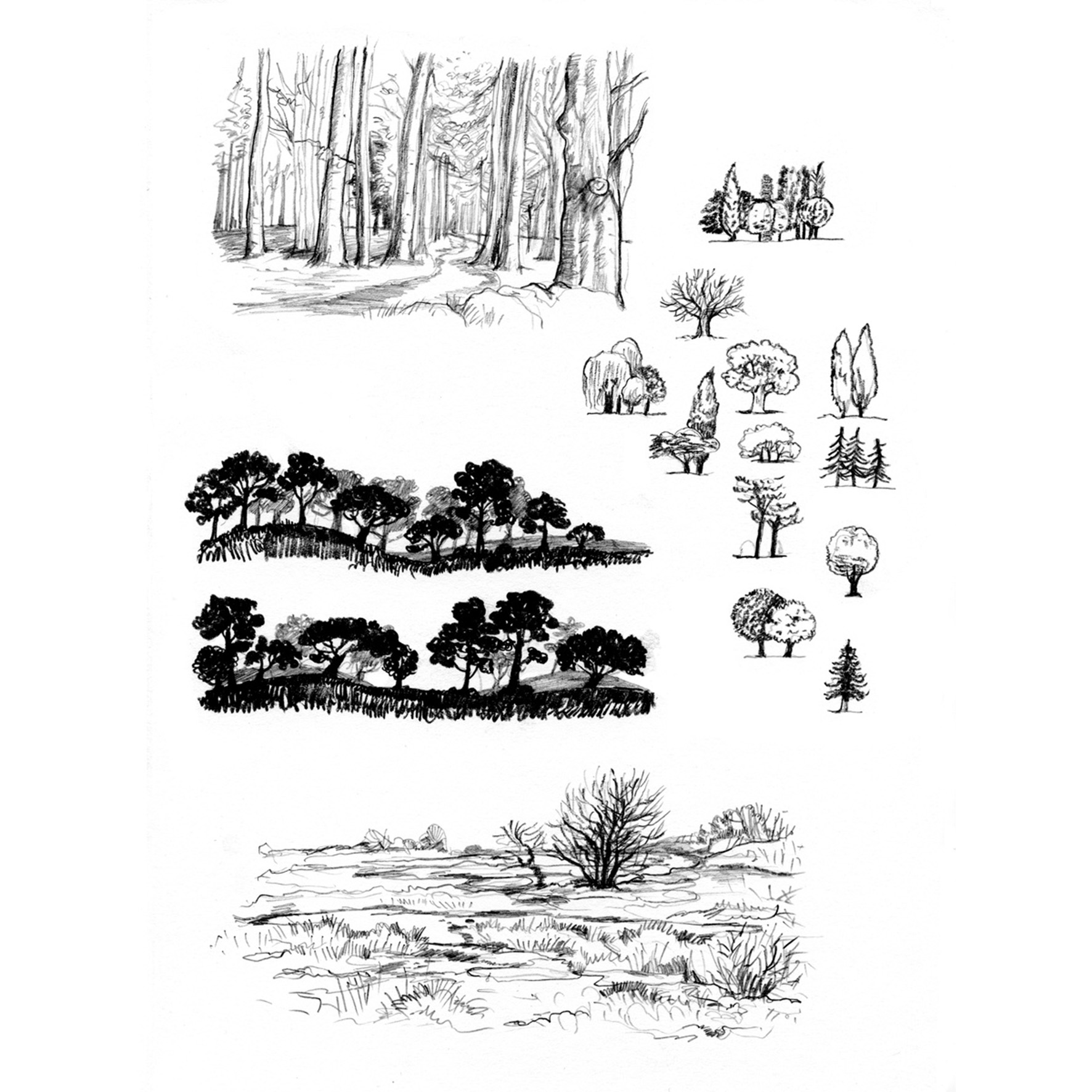 Die große Zeichenbibliothek