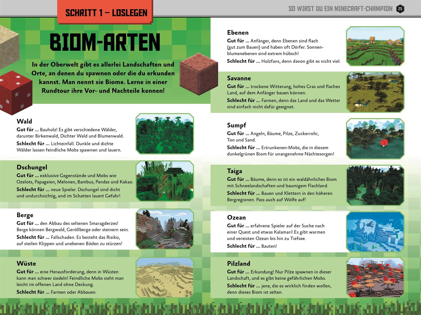 Unabhängig und inoffiziell: Minecraft Gewinner Guide