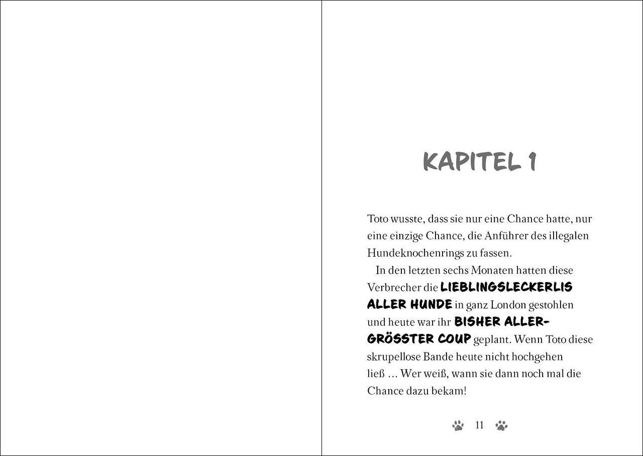 Ninja Cat (Band 3) - Die Rache des Superschurken