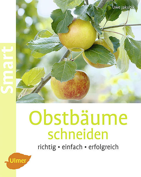 Obstbäume schneiden