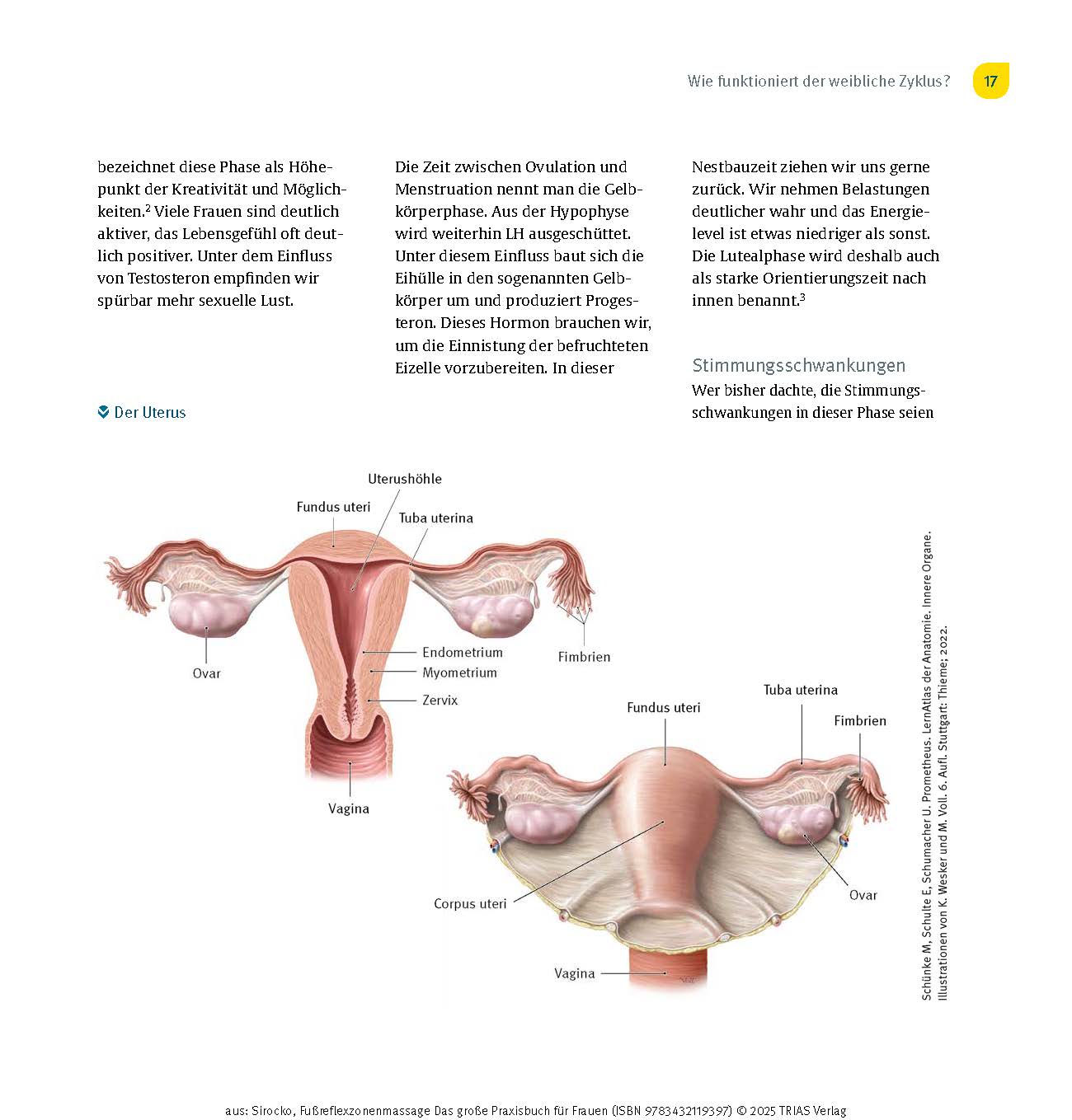 Fußreflexzonenmassage - Das große Praxisbuch für Frauen