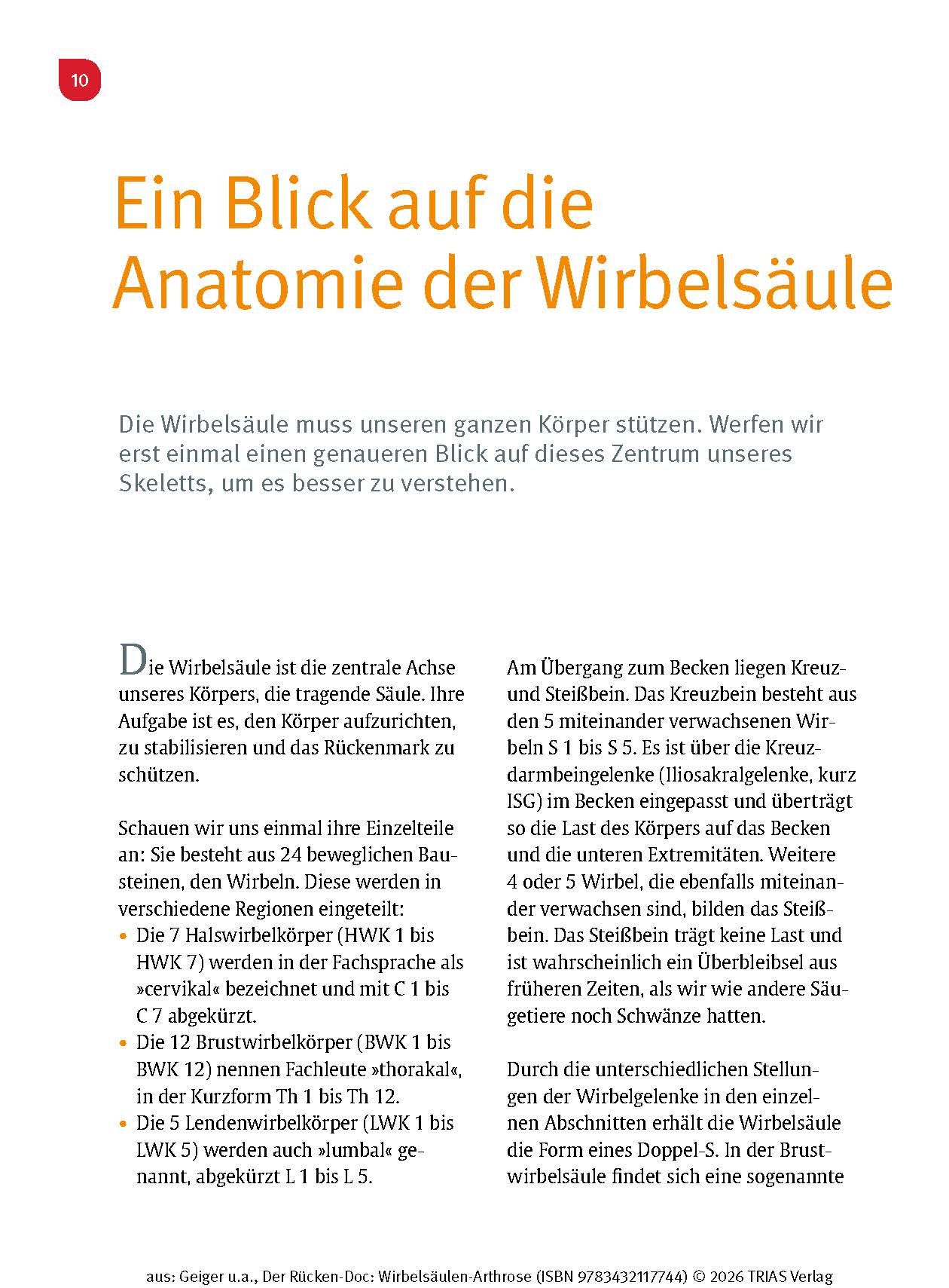 Der Rücken-Doc: Wirbelsäulen-Arthrose