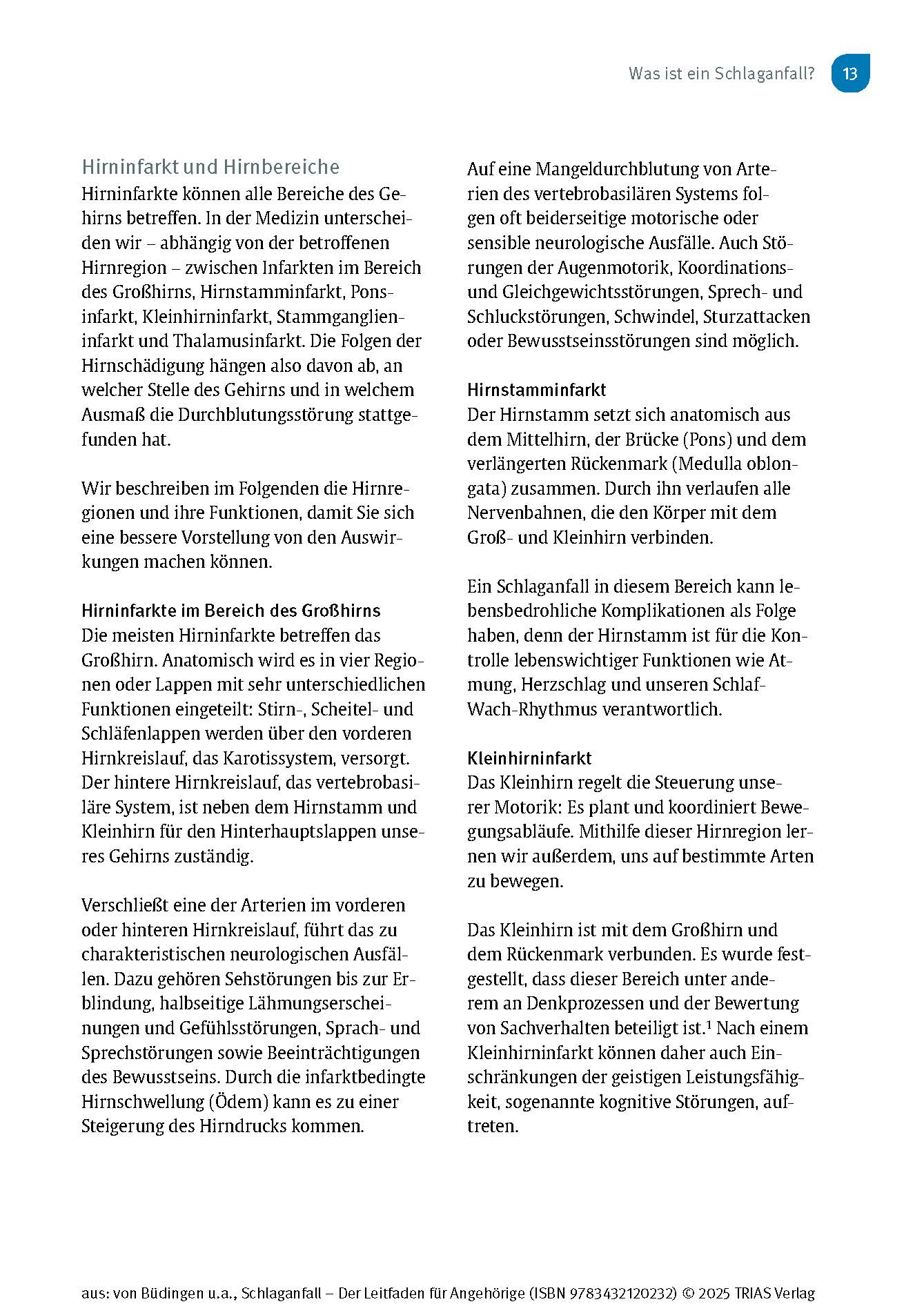 Schlaganfall - Der Leitfaden für Angehörige