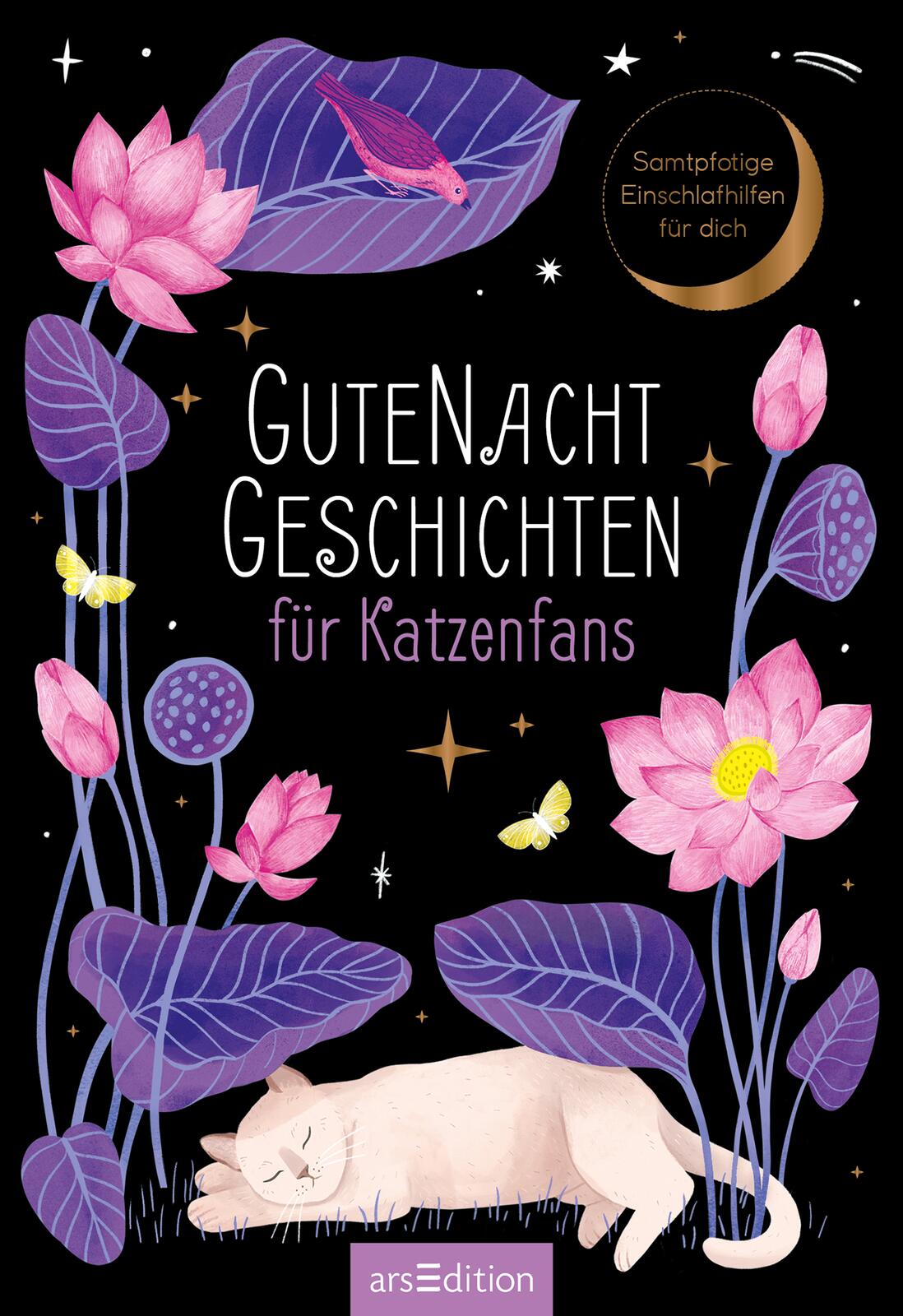 Gutenachtgeschichten für Katzenfans