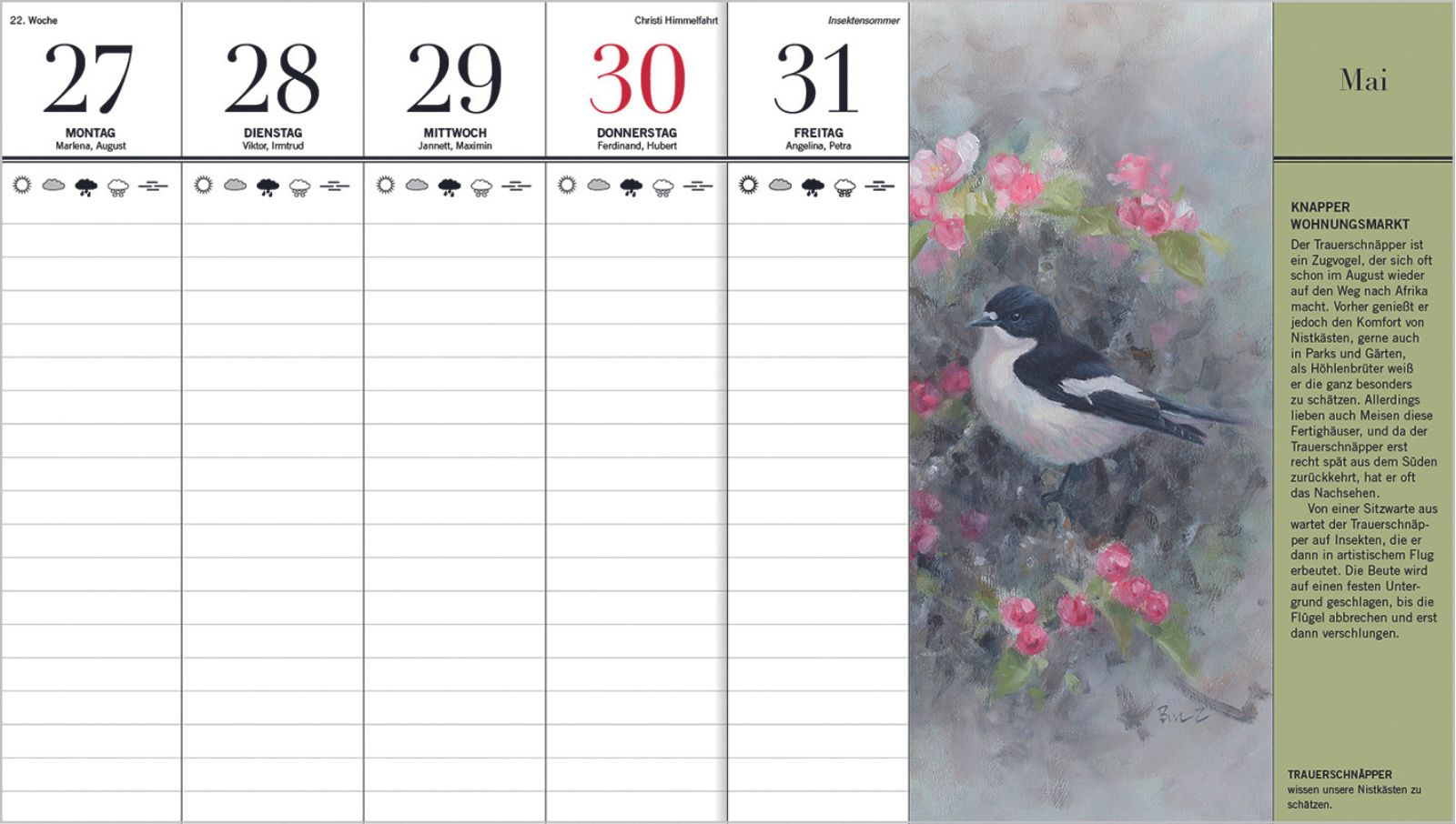 Der illustrierte Vogelkalender 2025