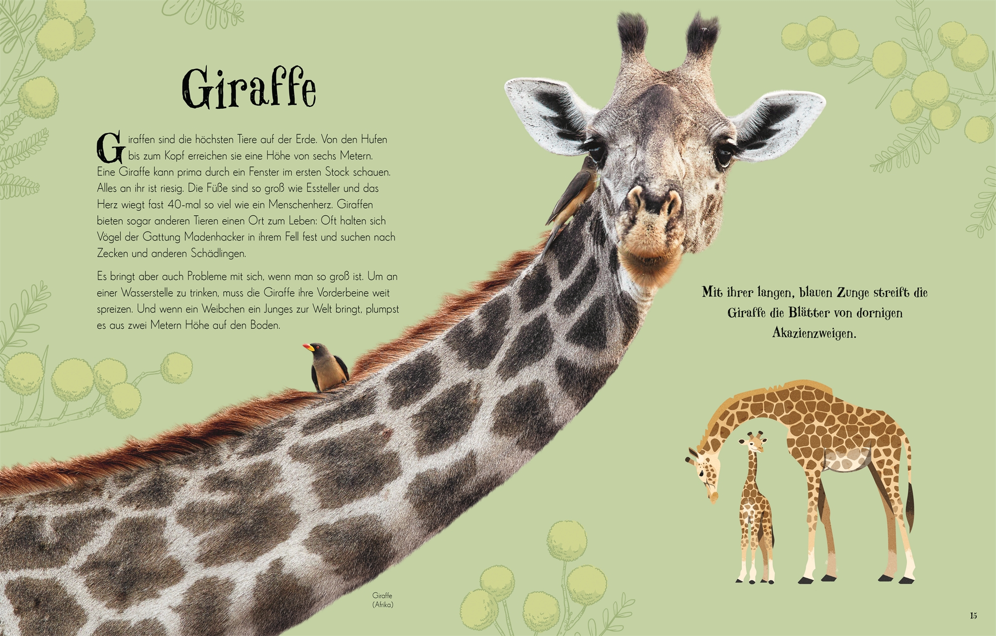 Wundervolle Welt der Tiere Wundervolle Welt der Tiere